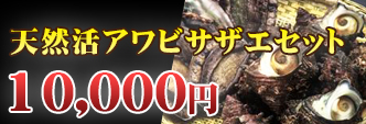 天然活アワビサザエセット