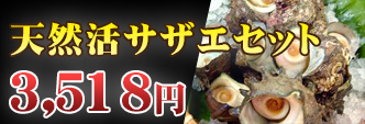 天然活サザエセット