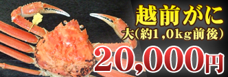 越前がに 大(約1,0kg前後)