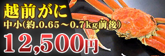 越前がに 中小(約.0.65〜0.7kg前後)
