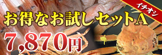 お得なお試しセットA