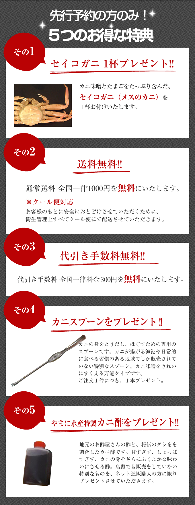 先行予約の方のみ！5つのお得な特典　セイコガニ一杯プレゼント！　送料無料　代引き手数料無料　カニスプーンをプレゼント　カニ酢をプレゼント！